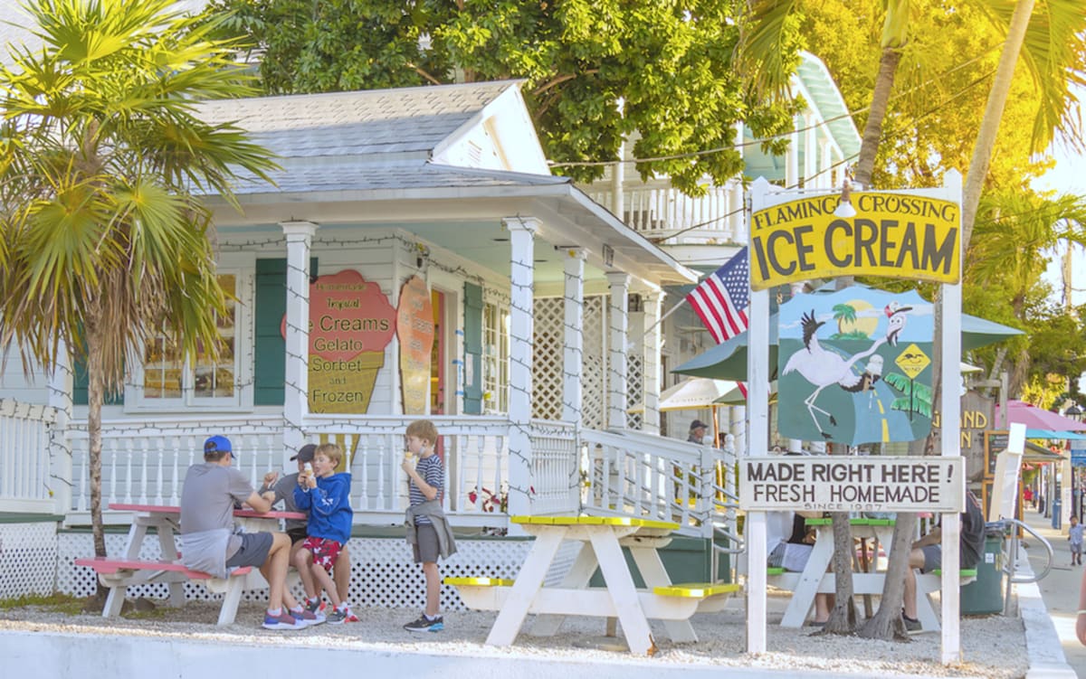 flamingo-crossing-ice-cream