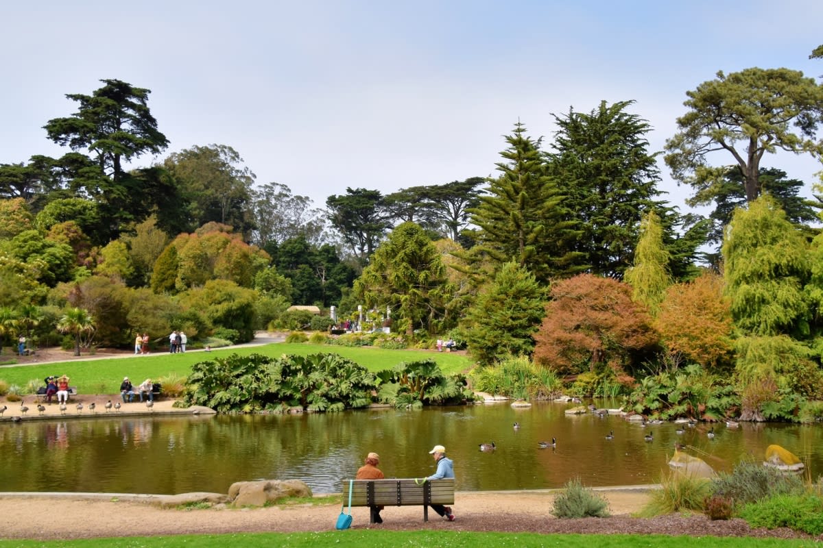 Golden Gate Park San Francisco 1200x800