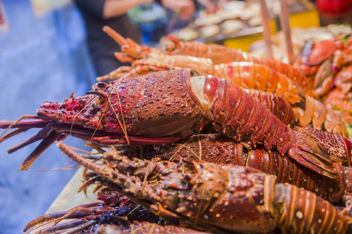 Florida Keys Lobster Season 2023 is Here What You Need to Know