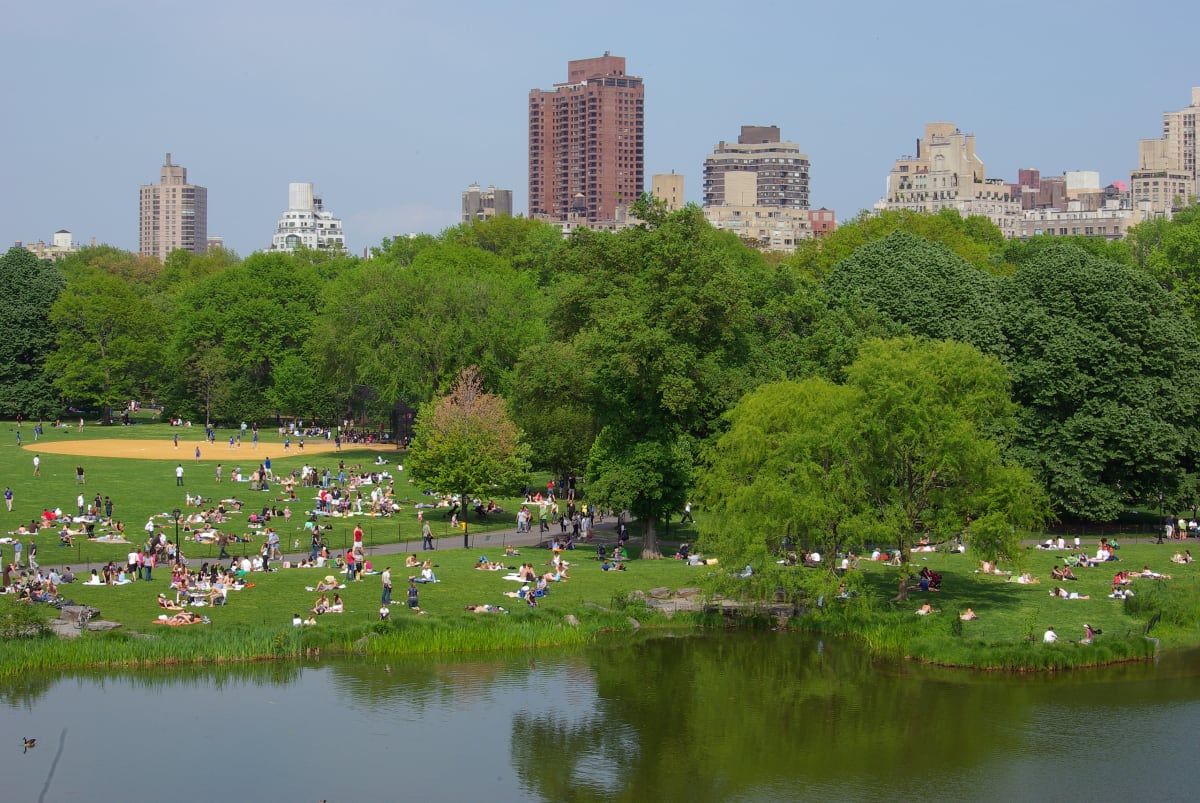 Central park on a summer's day. Groups of people picnic on the grass in front of a large lake with trees in background and the new york city skyline behind them 