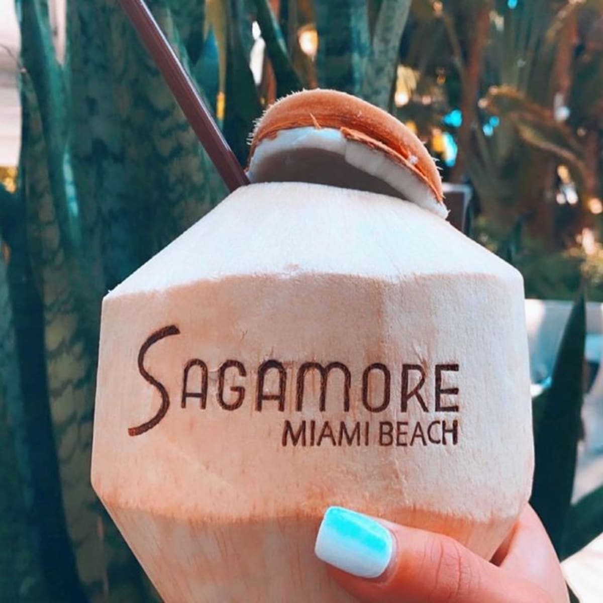 hand-holds-beverage-in-coconut-with-sagamore-engraving