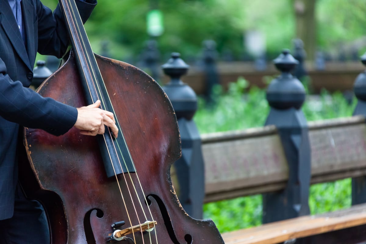 Man plays cello on a bench in Hyde Park