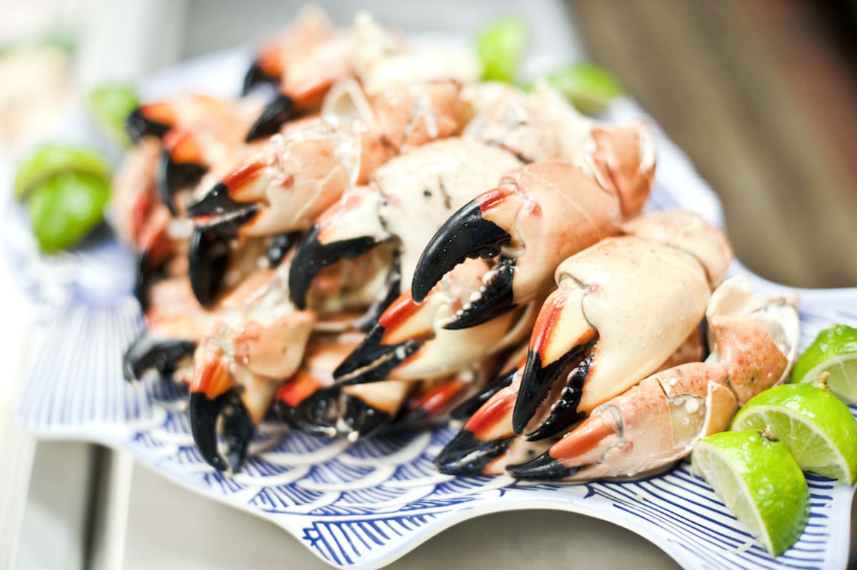 plate-of-cooked-stone-crab-legs