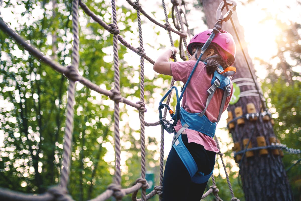 child in harness completing obstacle course in the tree tops