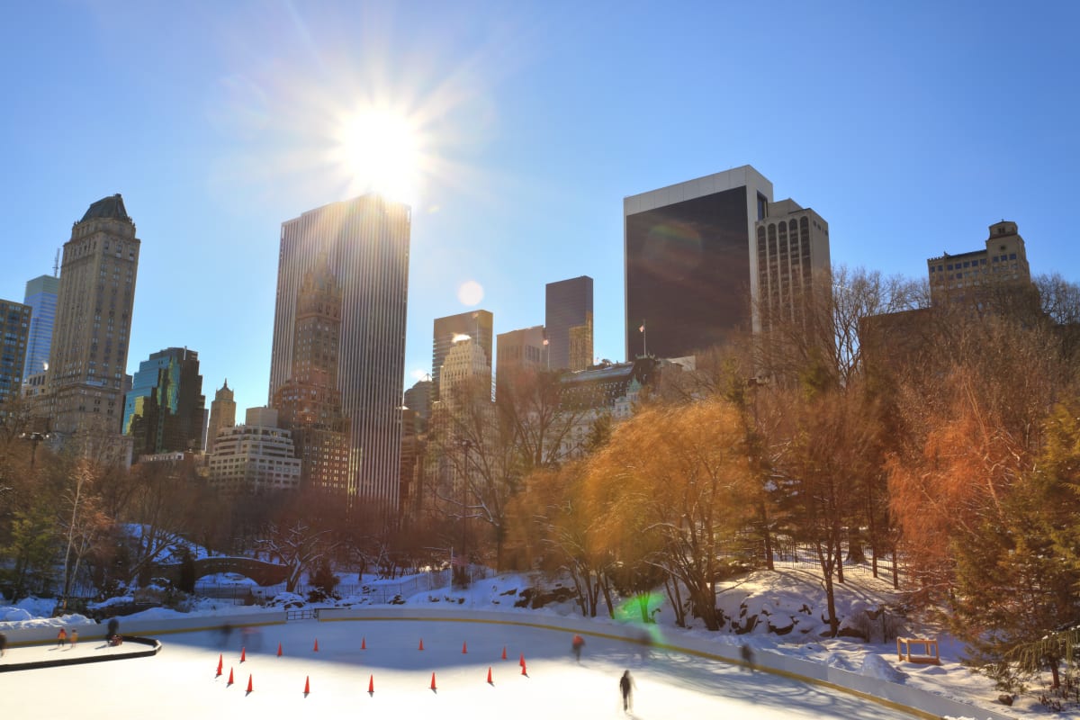 Wollman ice rink in Central Park with the New York skyline in the background and trees with the fall colours 