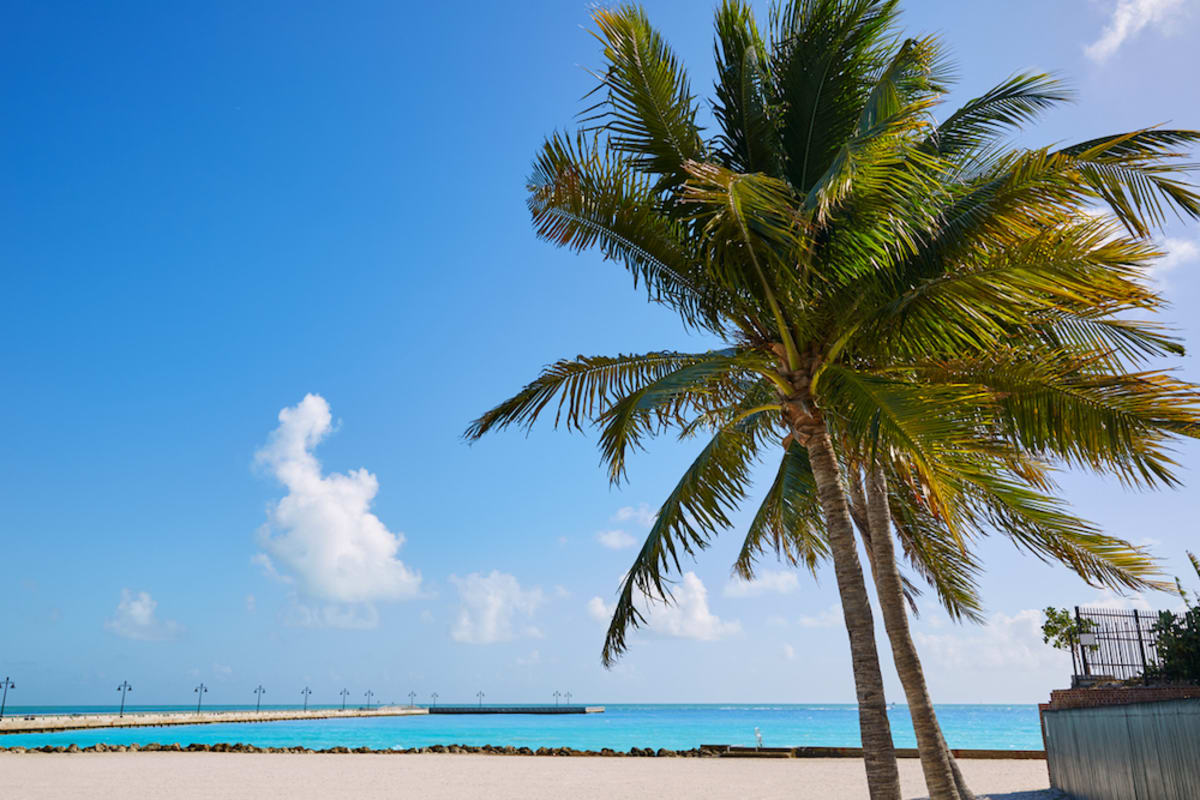 edward-knight-pier-higgs-beach-key-west