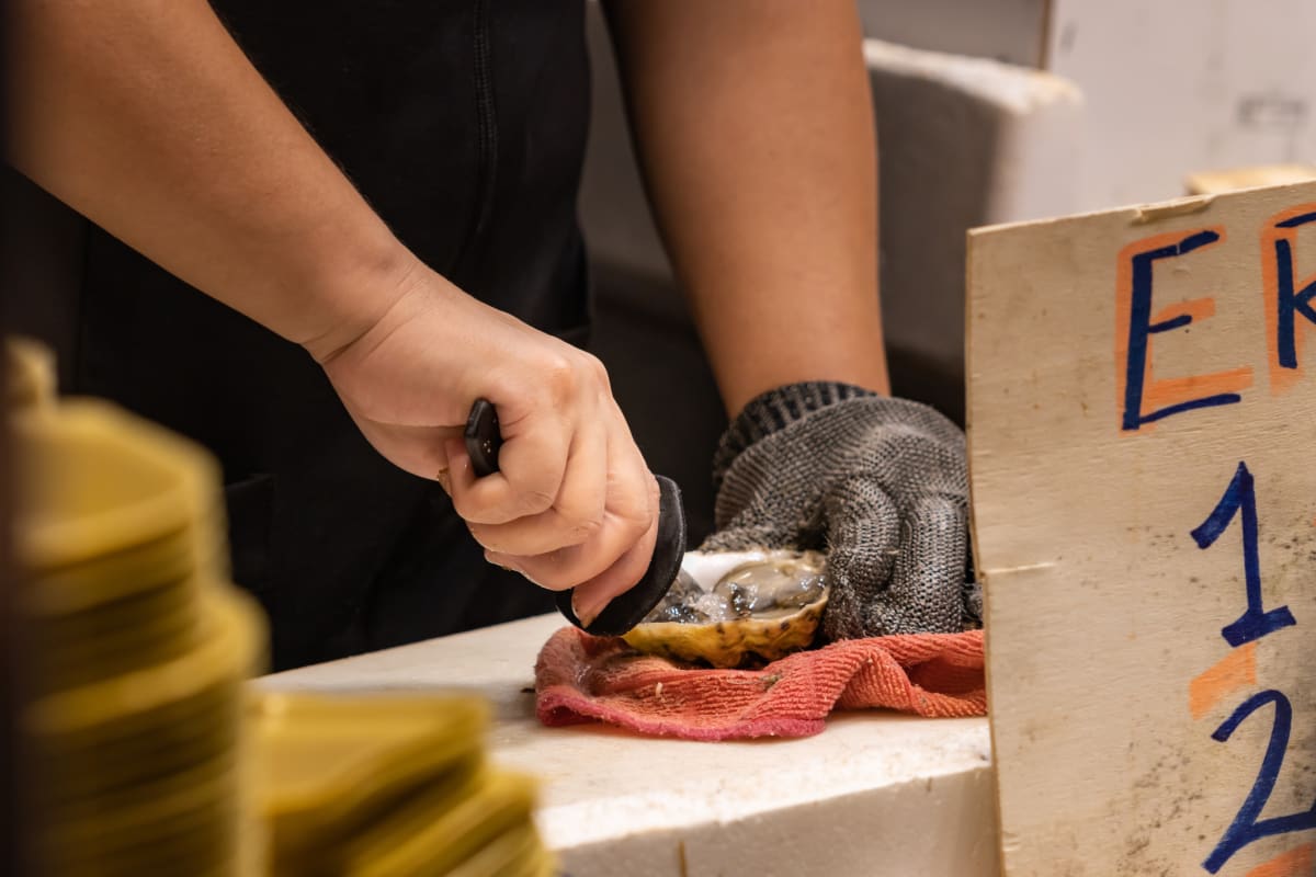 Man opening oyster with equipment 