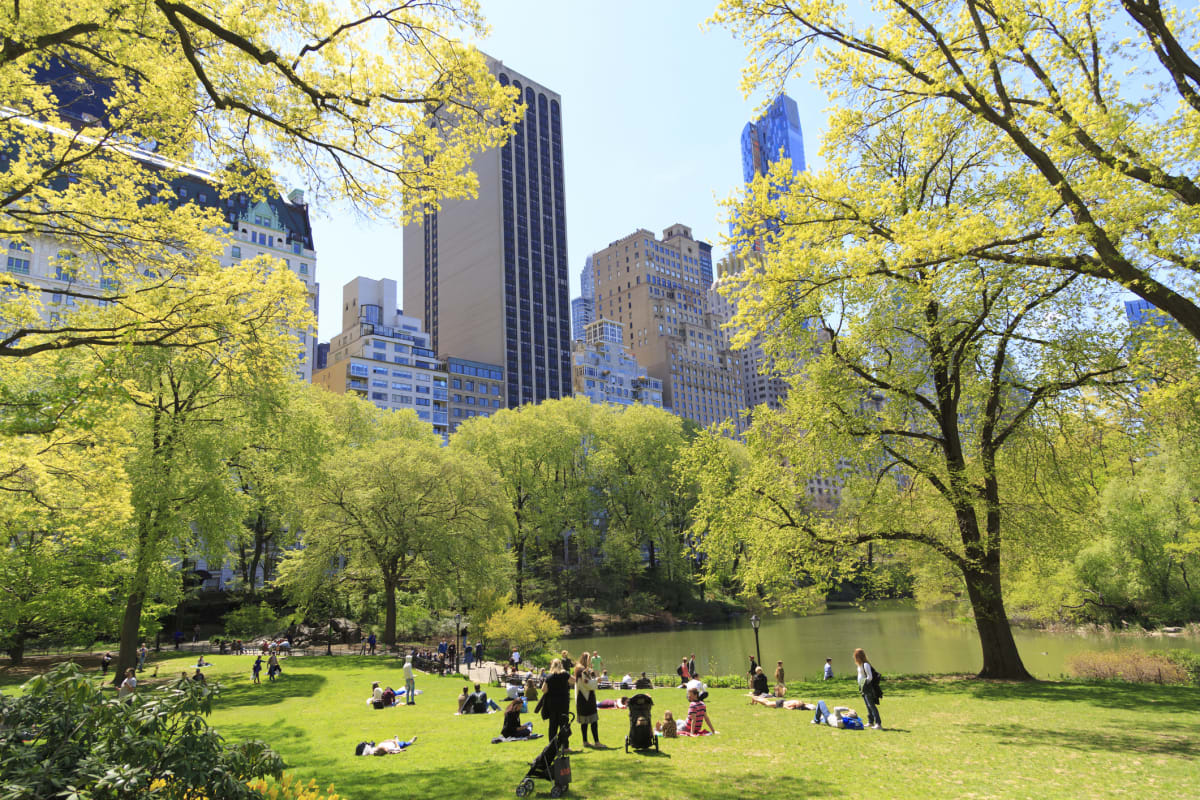 People enjoying Central Park in the summer with NYC skyline in the background