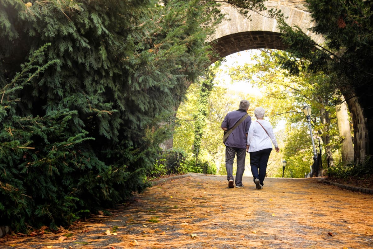 Elderly couple hold hands as they walk through a tunnel in a woodland 