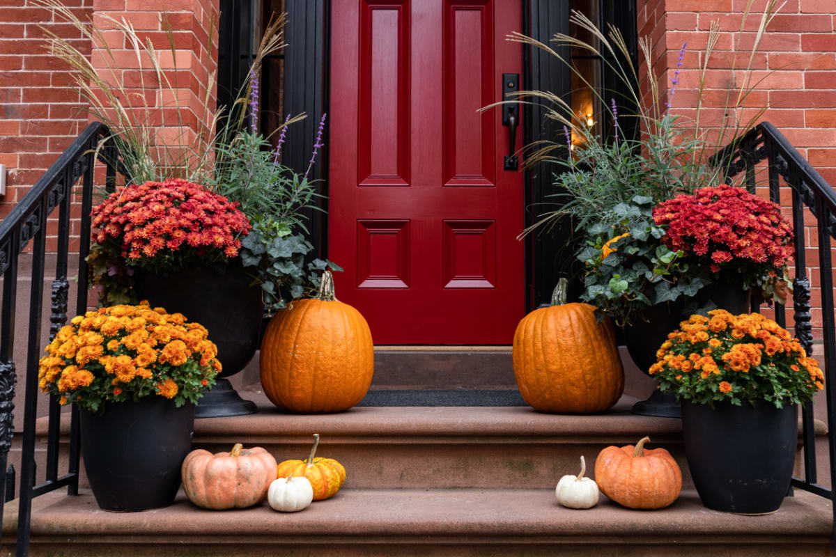 Halloween decor on a staircase. Pumpkins and seasonal flowers lines the stairs.