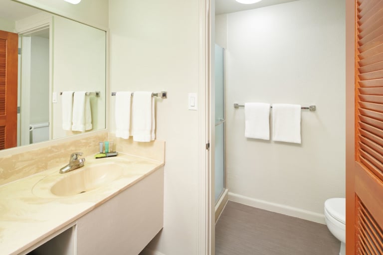 GARDEN VIEW ROOM Bathroom
