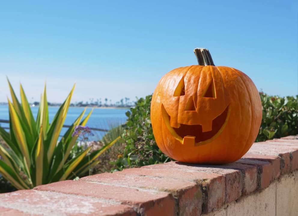 12 Best Halloween Events for 2023 in Key West