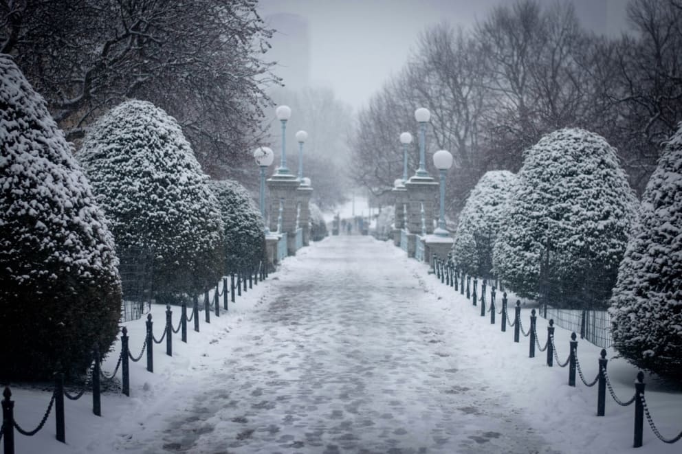 Winter Wonderland: Exploring Boston's Snowy Charms in January