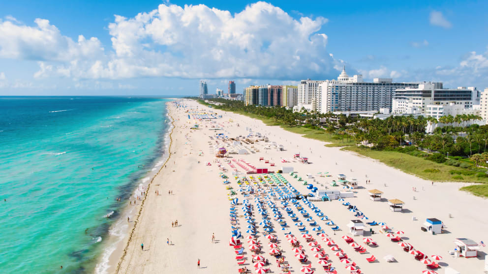 Things to do in Miami in 2026|The Sagamore South Beach