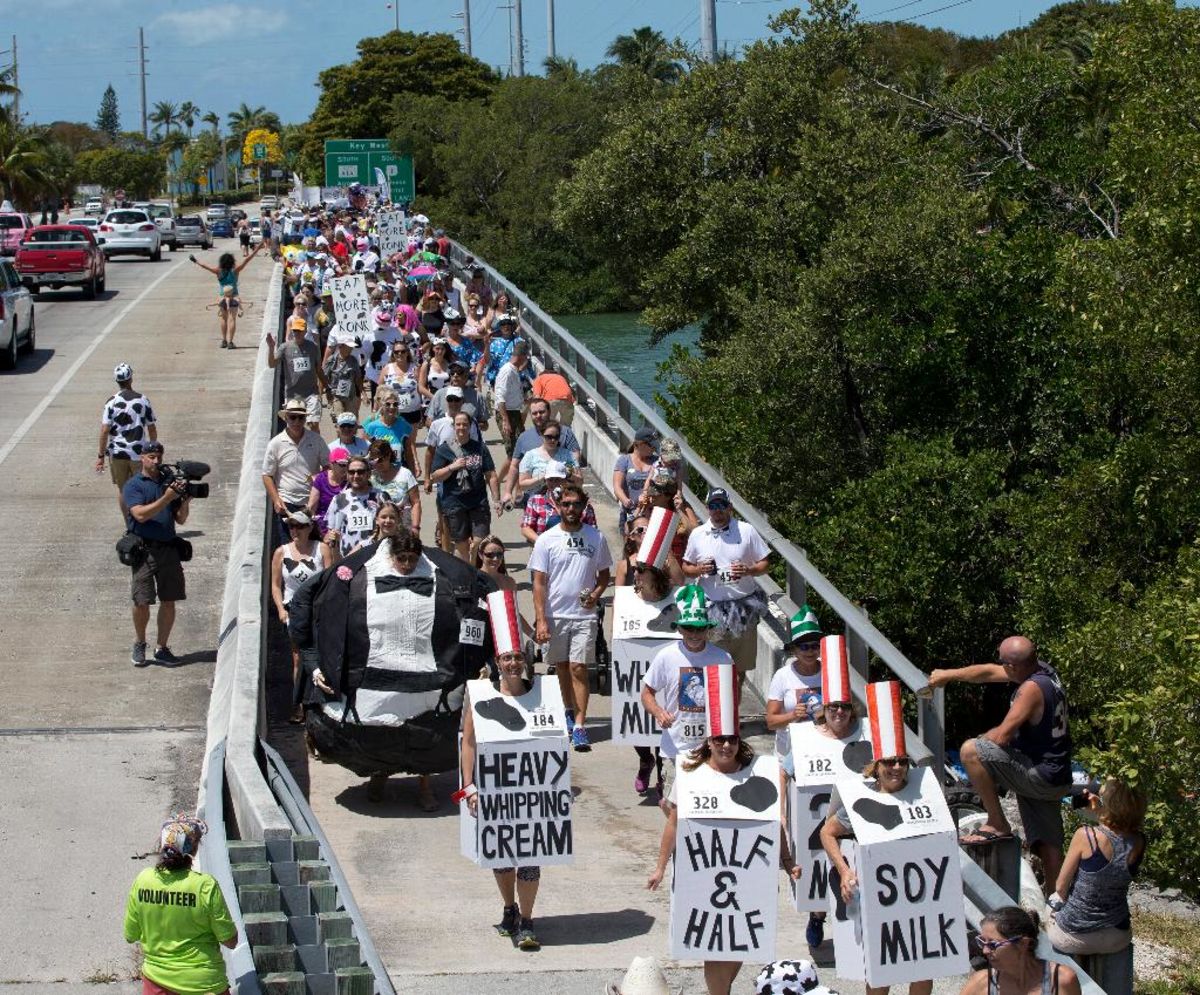 Join the Herd in the Annual Cow Key Channel Bridge Run