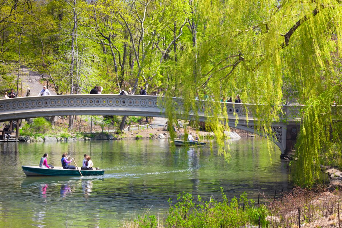 central-park-lake