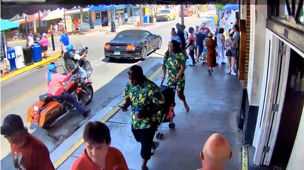 The Best Livestream Web Cams of Key West