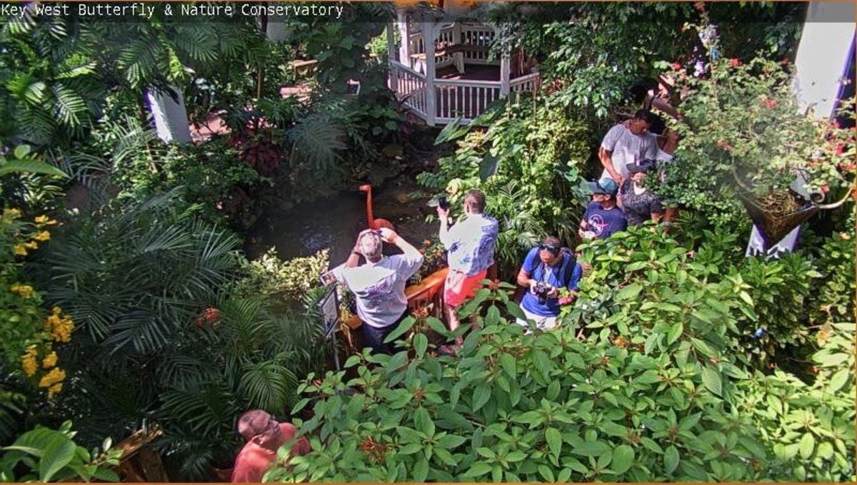 key west gay bars webcam