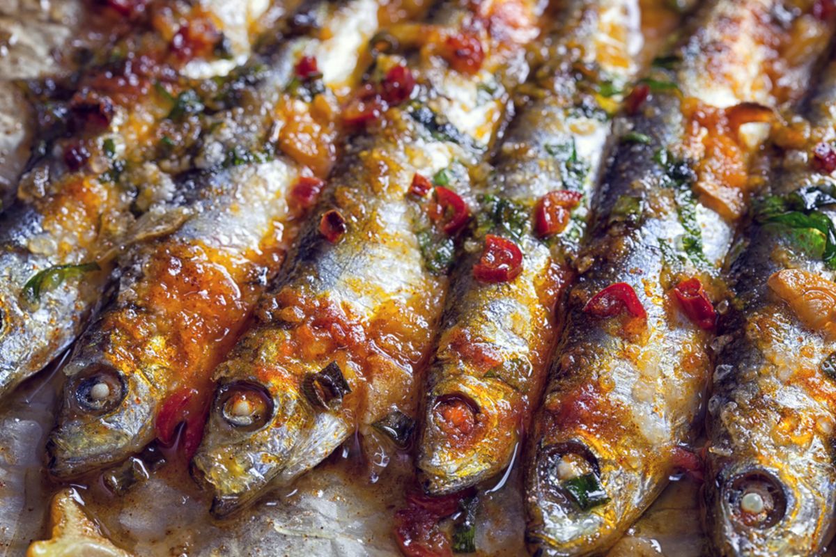 fish-portuguese