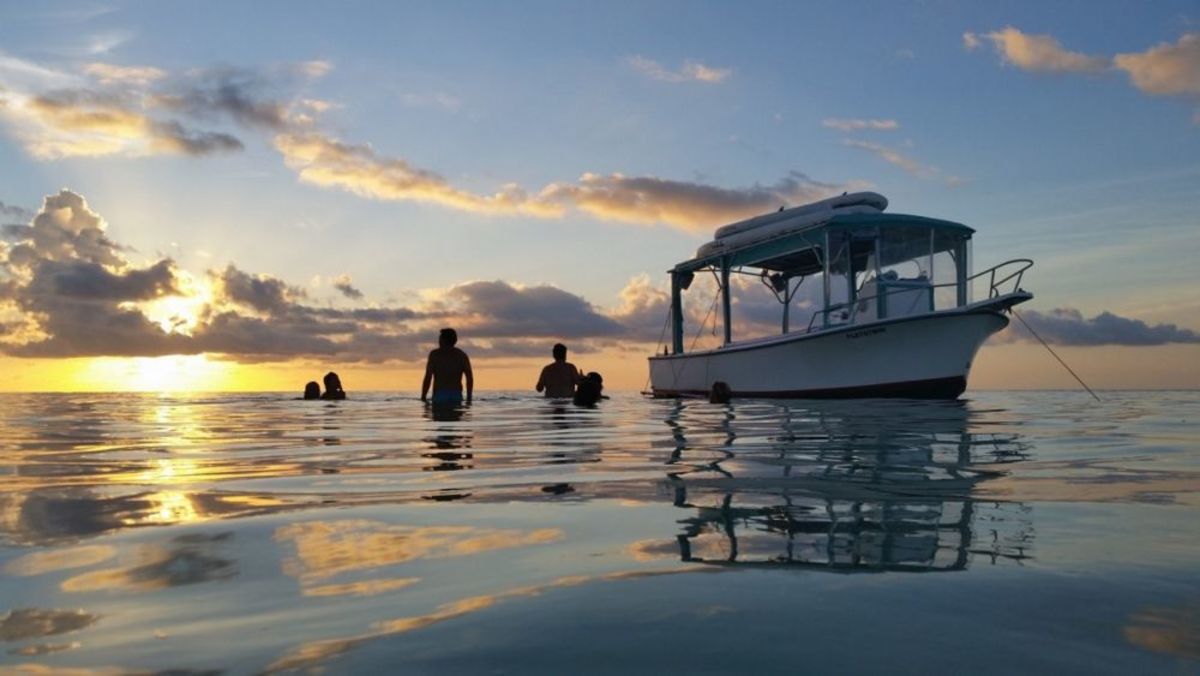 The Best Key West Eco Adventures for Small Groups