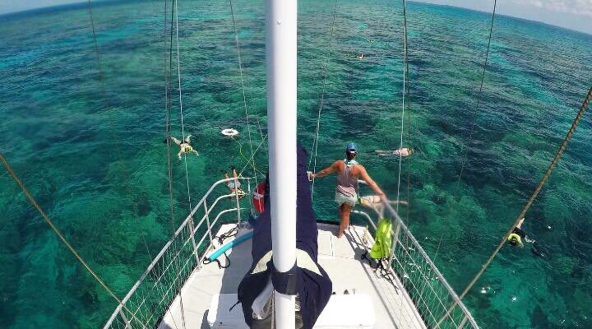 Daily snorkeling adventures and sunset sailing trips