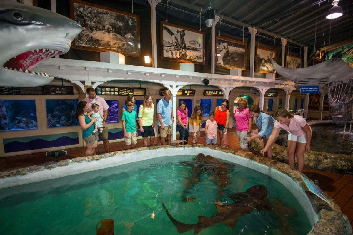 keywest_aquarium