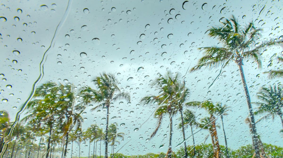 10 Things to Do in Miami When it Rains