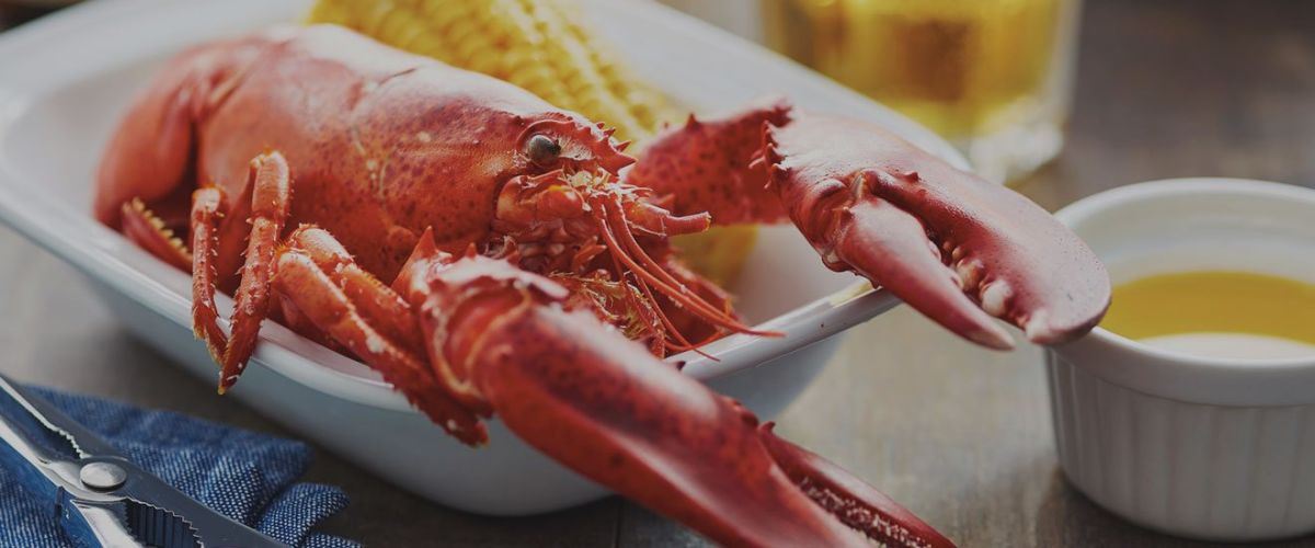 Anchorage Inn York Maine | York Beach Maine Hotels