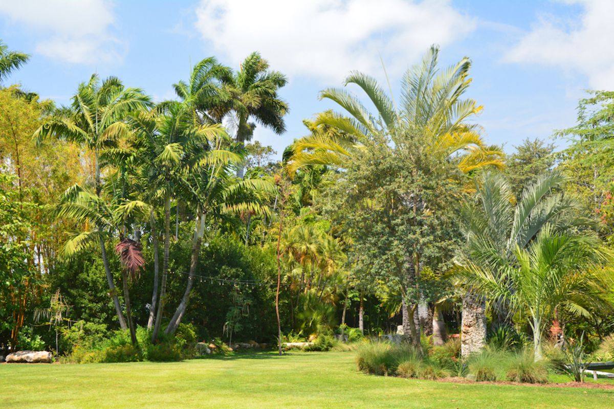 5 Spots In The Miami Beach Botanical Garden To Visit This Summer