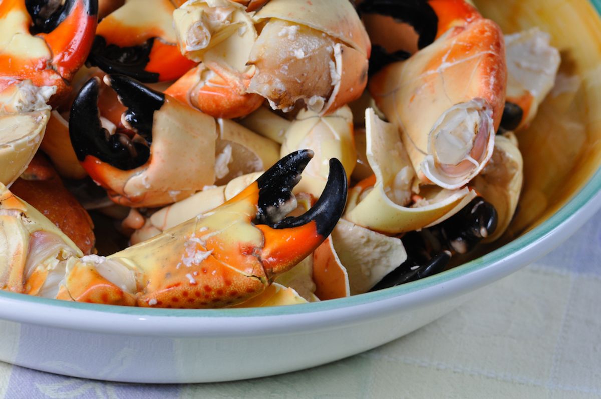 Guide to Stone Crab Season in Miami Sagamore Miami Beach