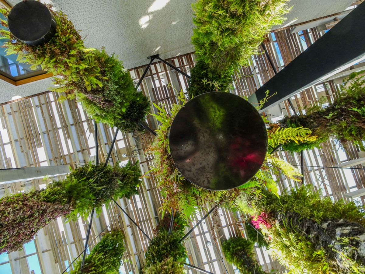 hanging-gardens-pamm-miami