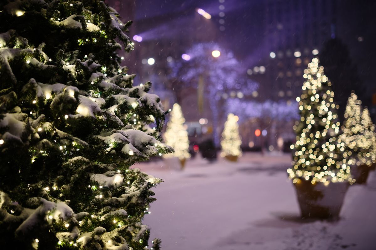 christmas-lights-central-park