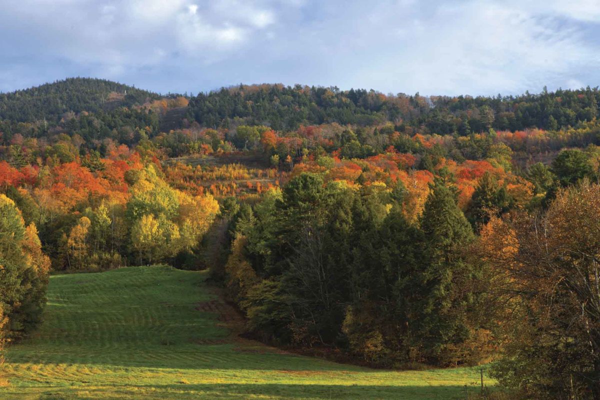 Mount Ascutney Resort Encore Residence Club