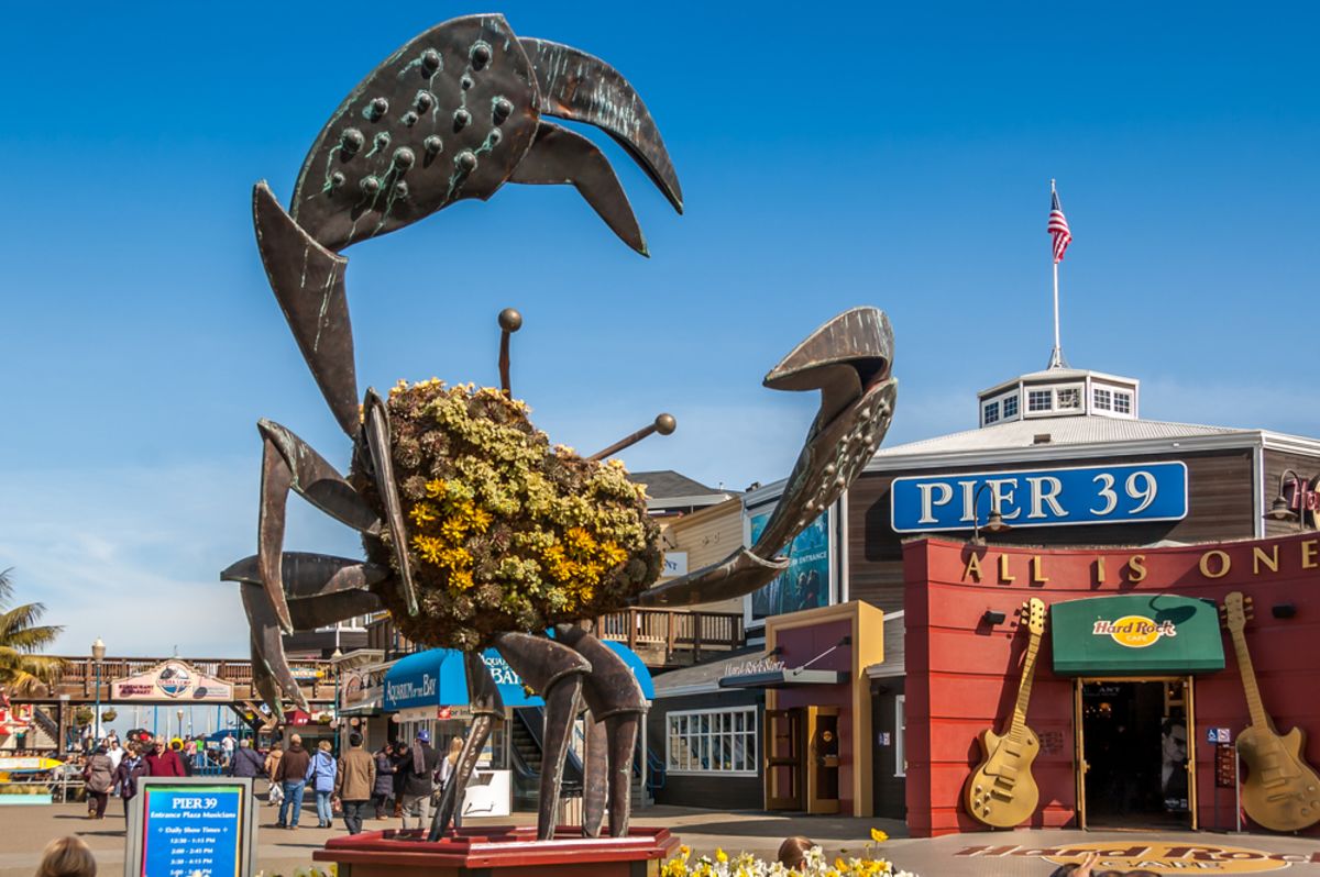 pier-39-crabs