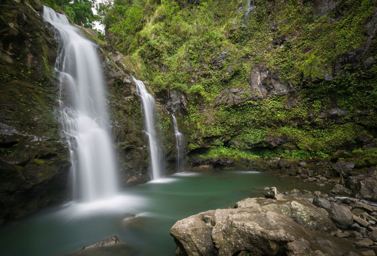 shutterstock_745025614