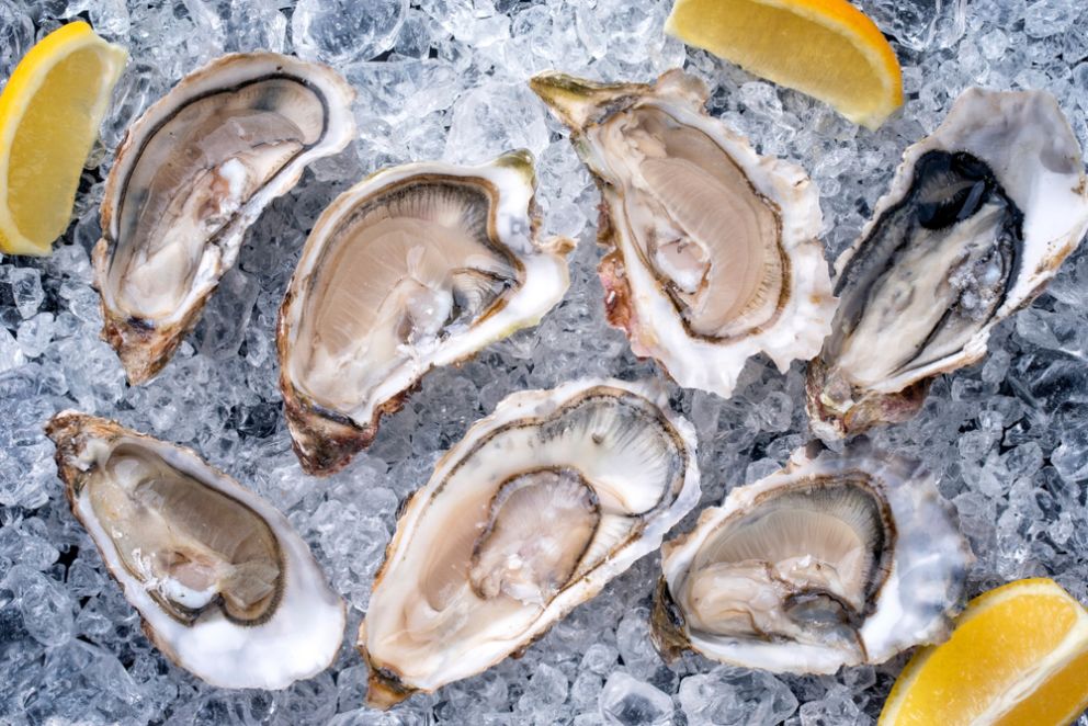 Take One Last Trip to Long Beach for Oyster Fest