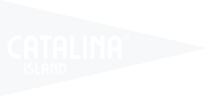 Catalina Island Logo