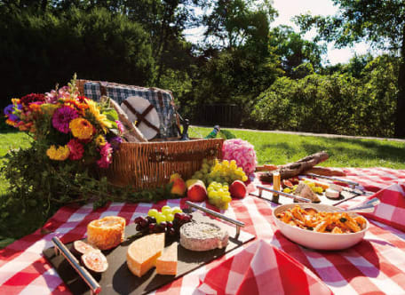 Best NYC Picnic Spots