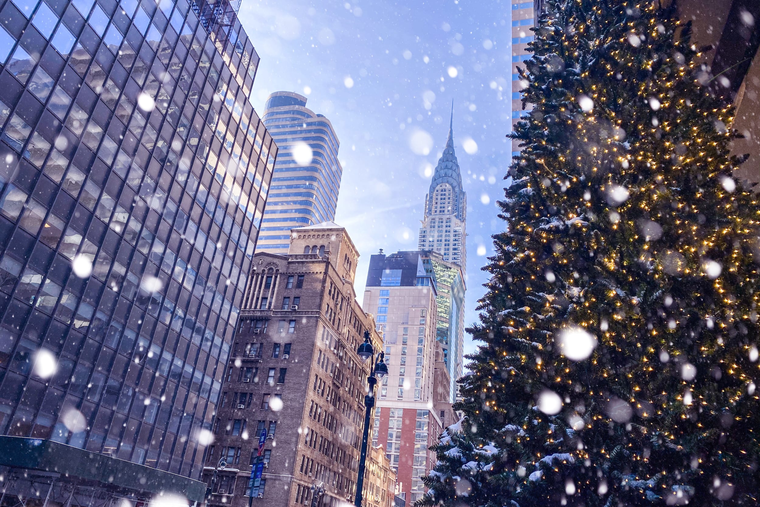 Looking up from street level to Christmas tree and skyscrapers in New York in the snow.