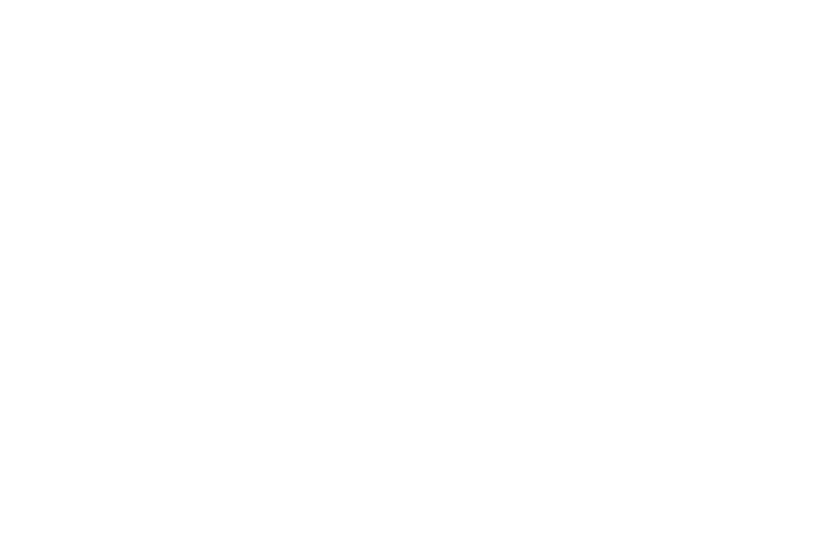 Latitudes Logo