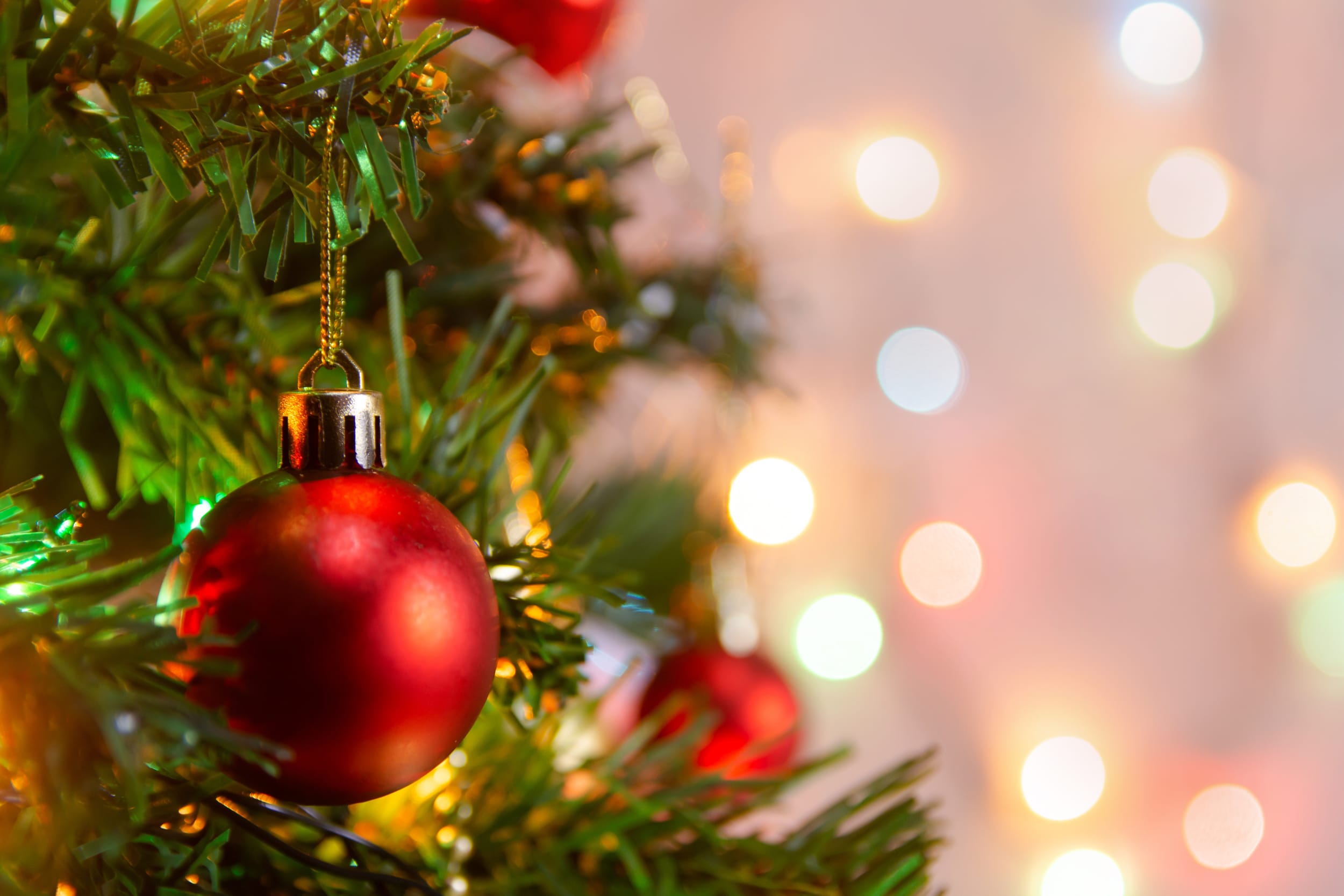 Holiday Getaway The Ashton Hotel holiday-getaway-the-ashton-hotel