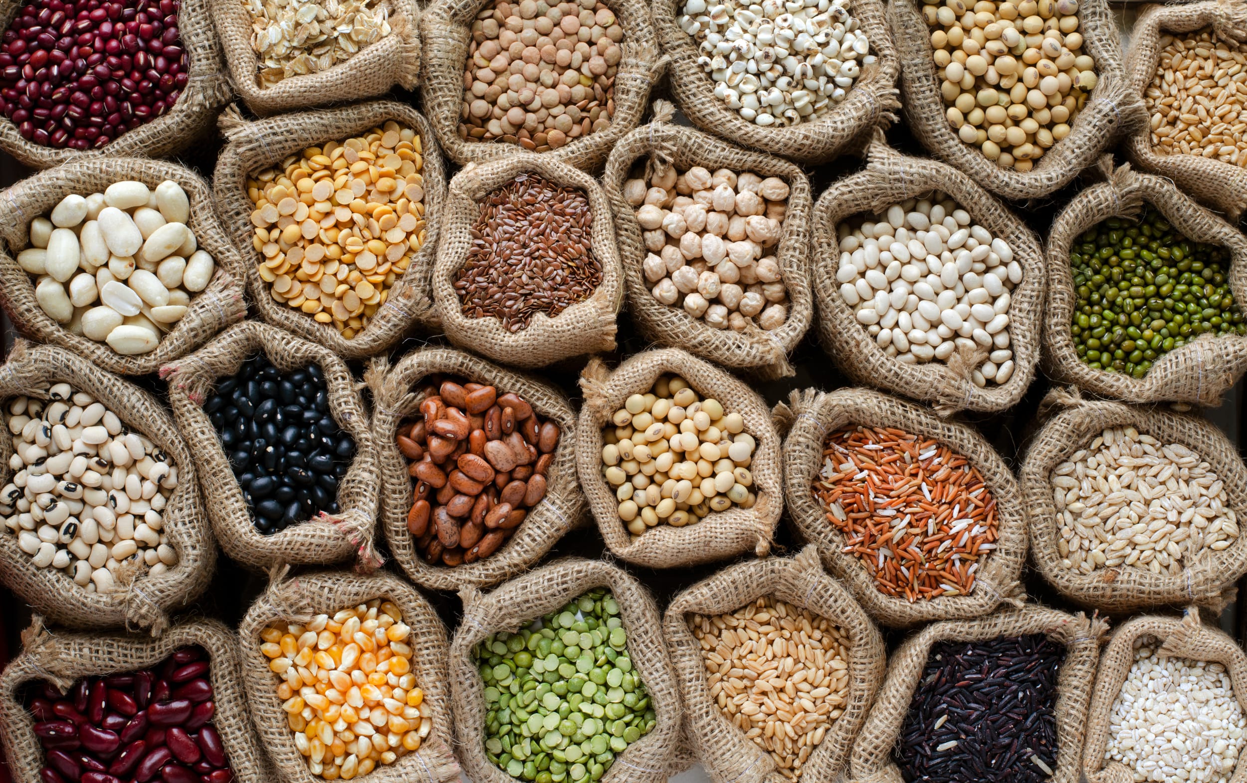 Seeds, grains and nuts of various sizes, sorted by size, colour and shape into different brown mesh bags. 