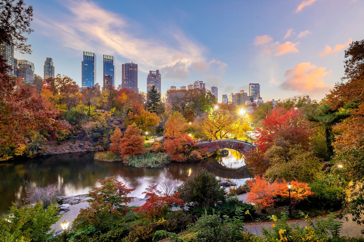 Central park in fall 