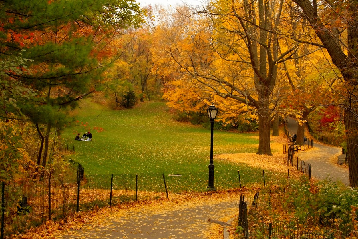 Autumn landscape with yellow trees at the riverside Weekender Tote