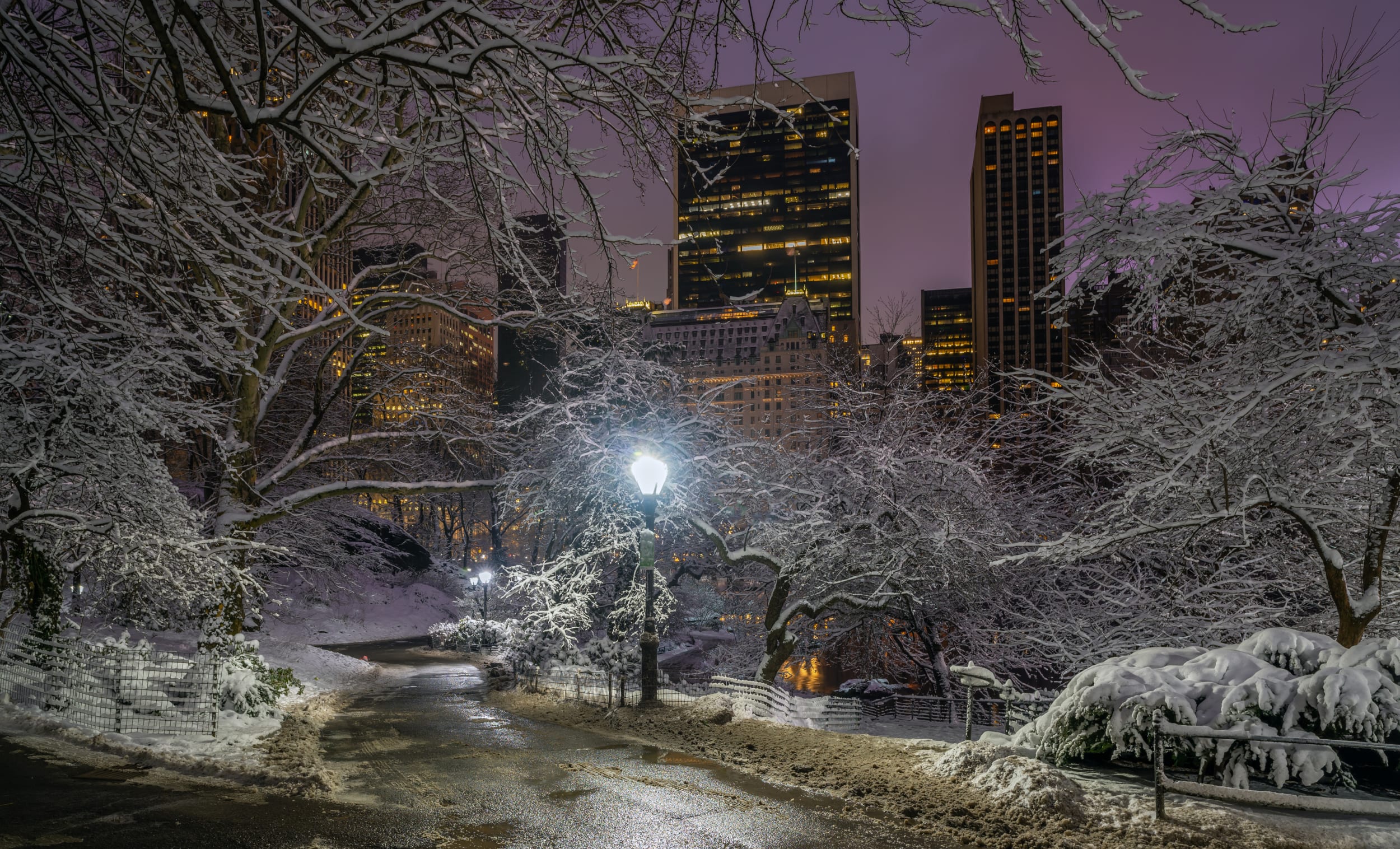Central park in the snow, new york skyline in the background, snow covers trees and verges while a street lamp lights the pathway 