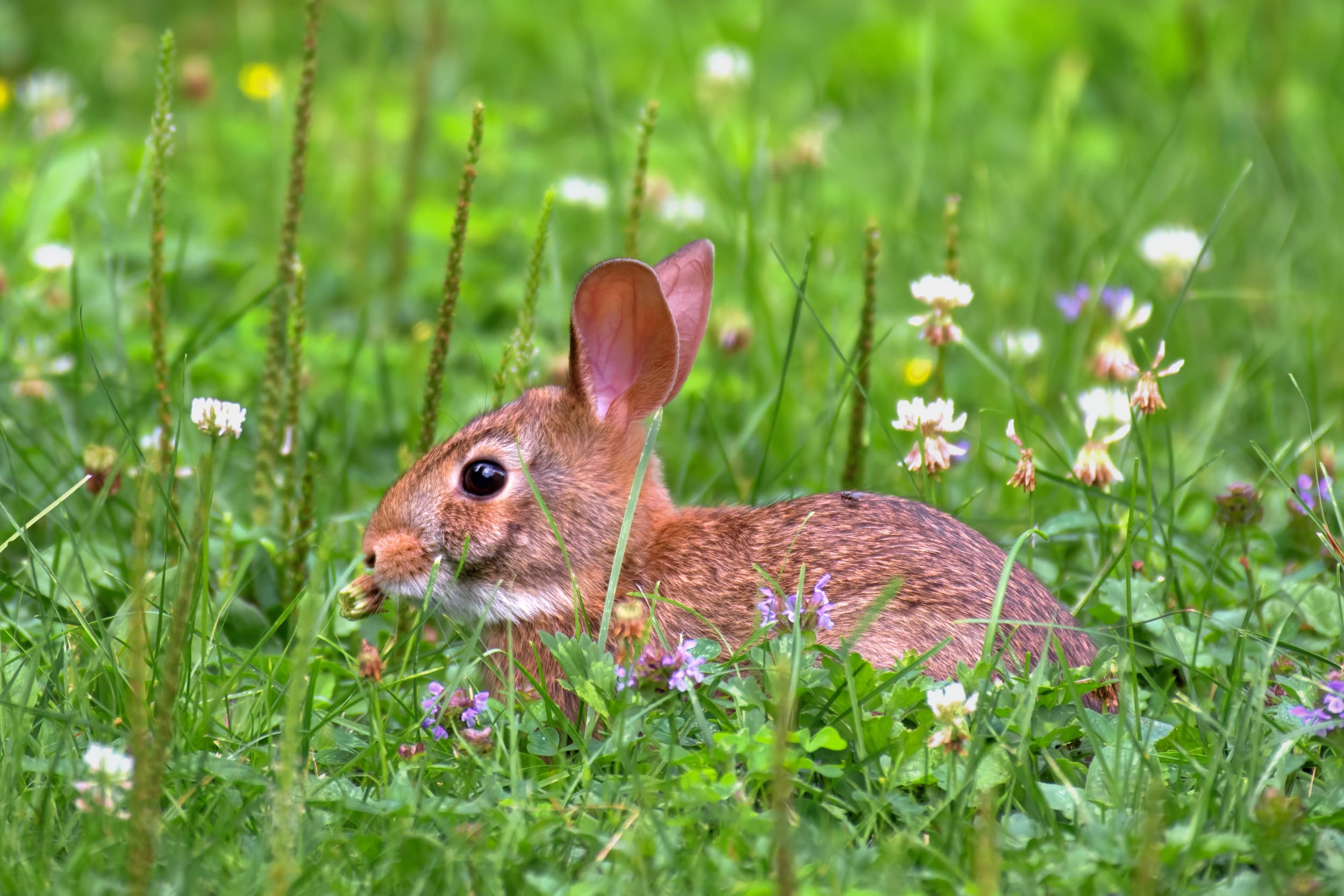 Best Easter Events on NYC’s Upper West Side blog image