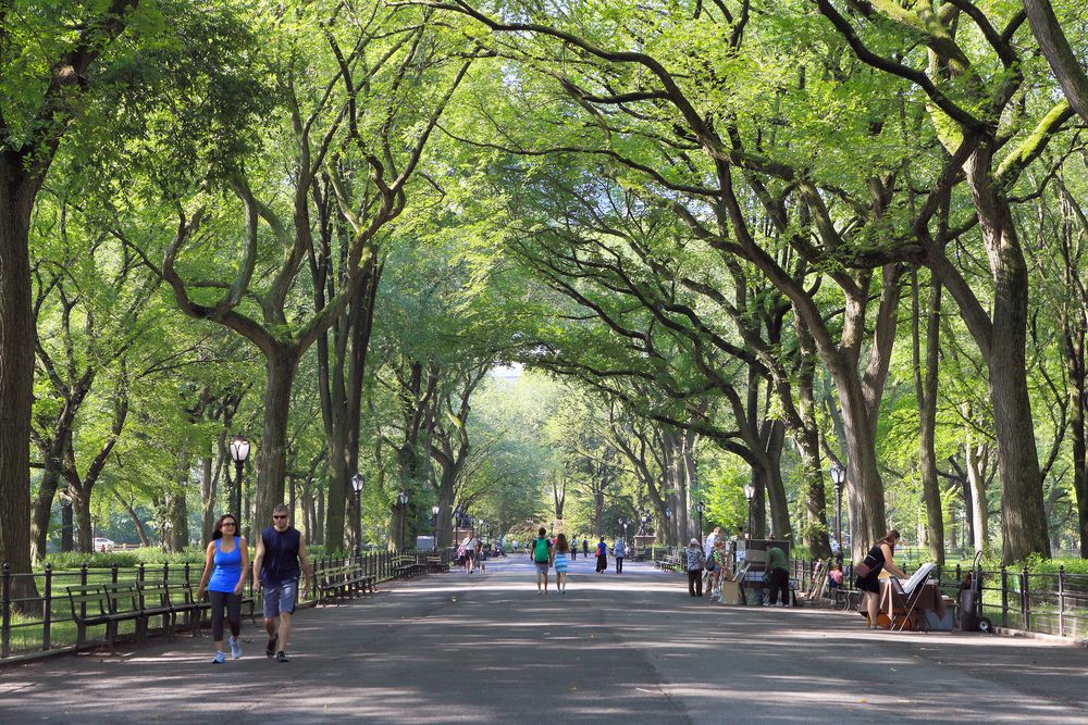 Things to Do on the Upper West Side this August blog image