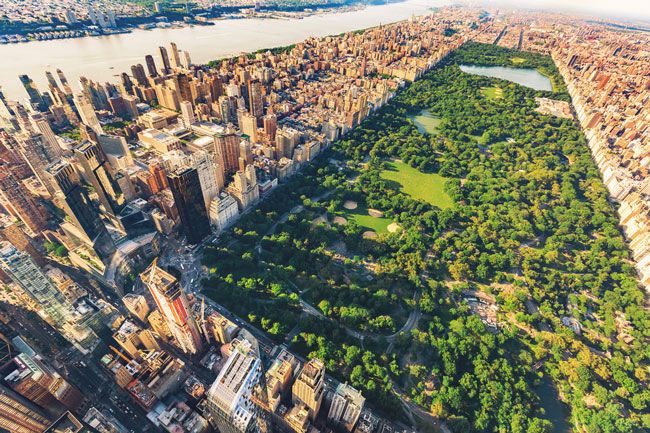 5 Ways to Explore Central Park