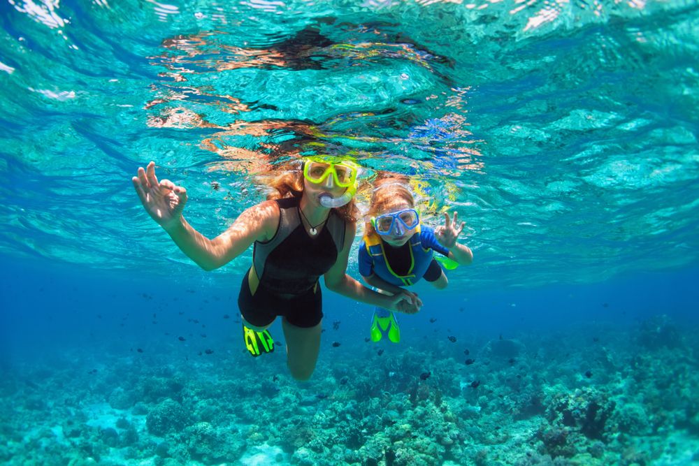 The Best Snorkeling Packages in Key West