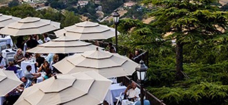 Local Wineries
